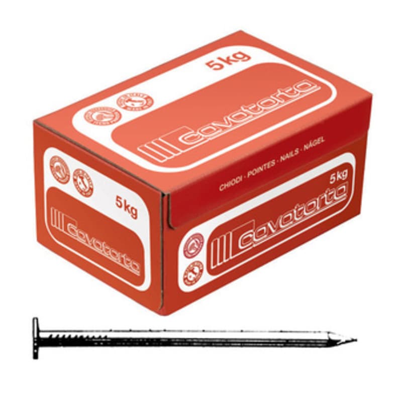 Chiodi Testa Piana 17 x 70 Cavatorta 5,0 kg - 2