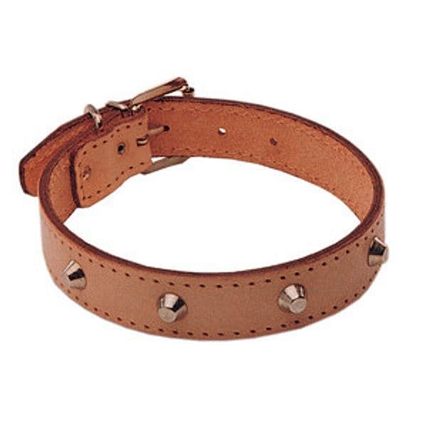 Collare per Cani Cuoio Borchiato 40 x 650 mm 6 Pezzi - 2