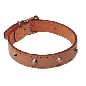 Collare per Cani Cuoio Borchiato 40 x 650 mm 6 Pezzi - 2