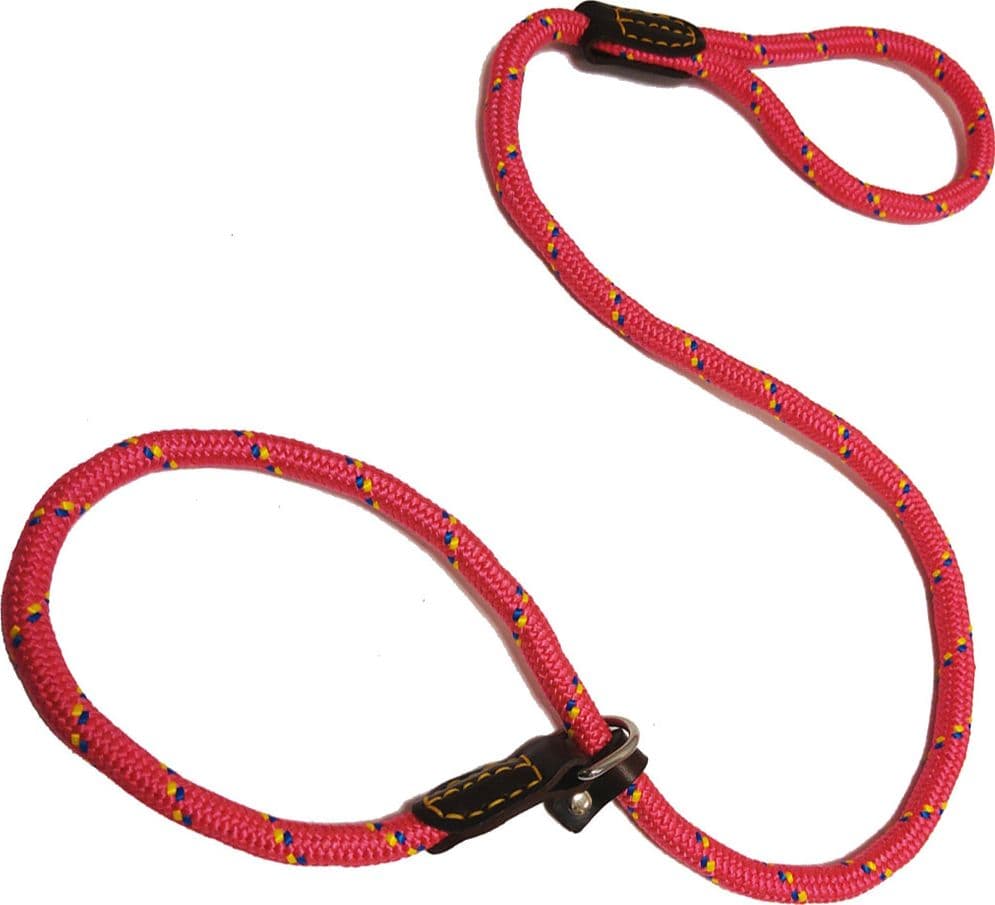Guinzaglio per Cani Nylon Strangolo D 12 x 1300 mm 6 Pezzi - 2