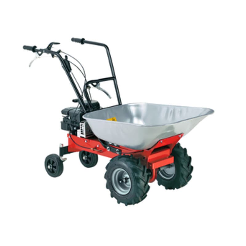 Motocarriola a Scoppio 123 Cc Carry 450 Rato Eurosystems - 2