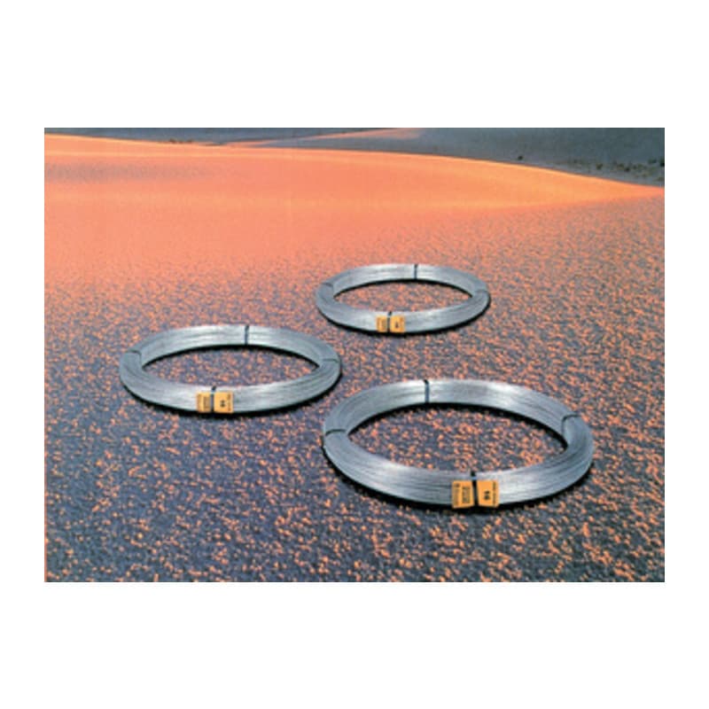 Pl Filo Zincato Cavatorta N. 6 5 kg - 2
