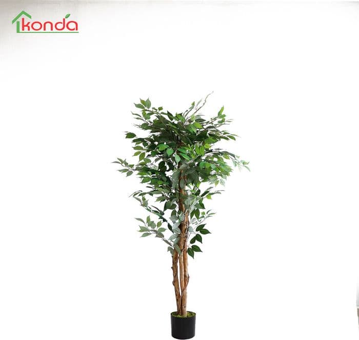 Pianta Ficus Artificiale 150 cm 2 Pezzi - 2