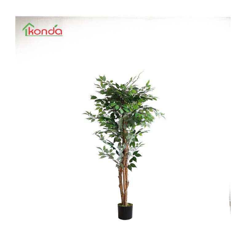 Pianta Ficus Artificiale 150 cm 2 Pezzi - 2