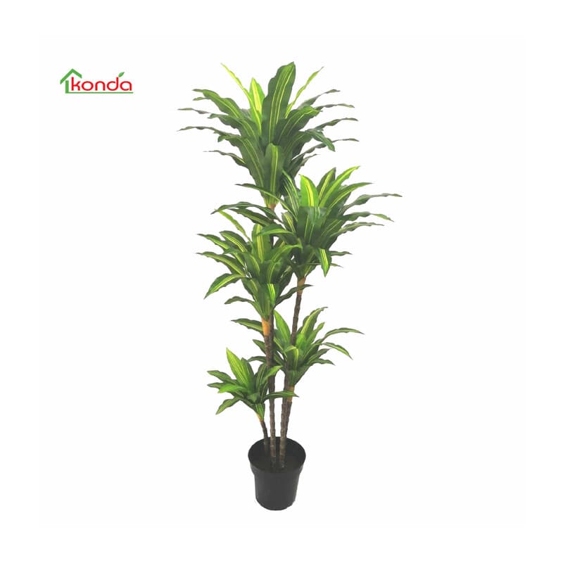 Pianta Dracena Artificiale 170 cm 2 Pezzi - 2