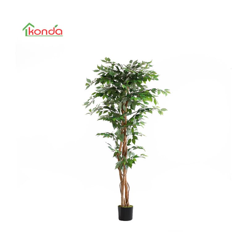 Pianta Ficus Artificiale 180 cm 2 Pezzi - 2