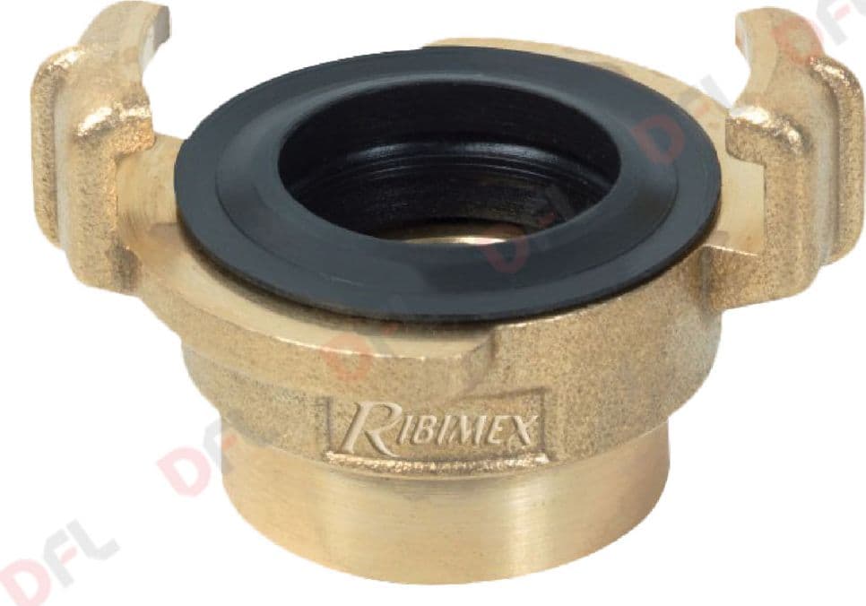 Raccordo Rapido Femmina 1 Ribimex - 2