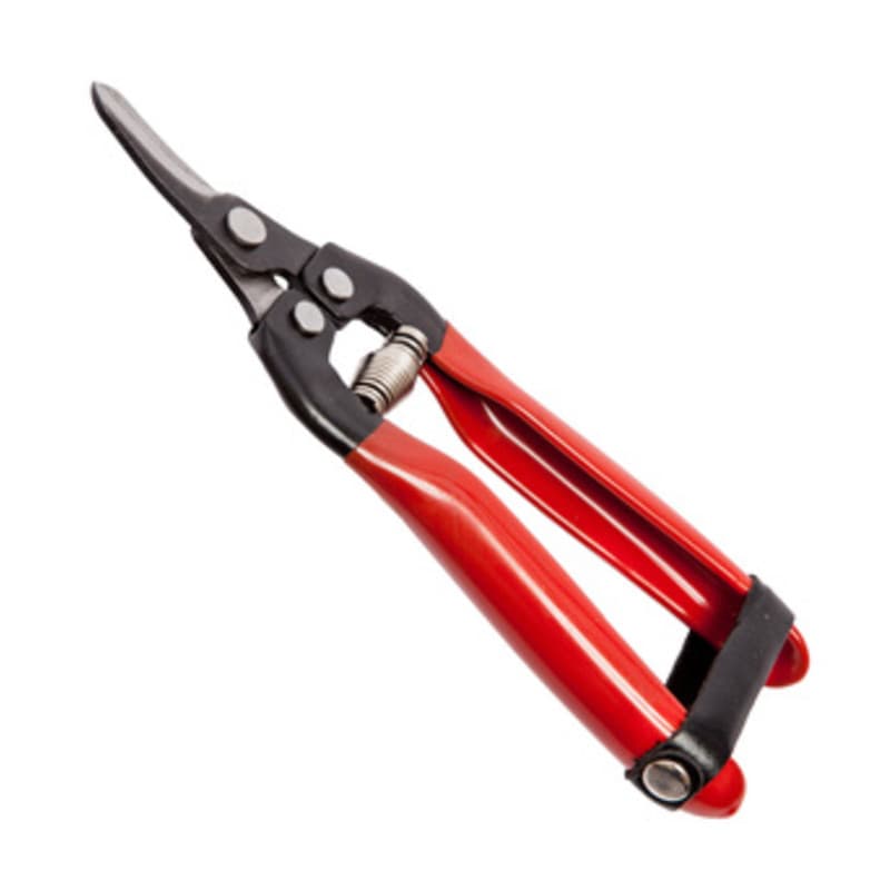 Forbici per Uva Falci Lame Curve 19 cm - 2