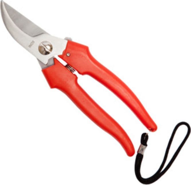 Forbici per Uva Falci INOX 19 cm - 2