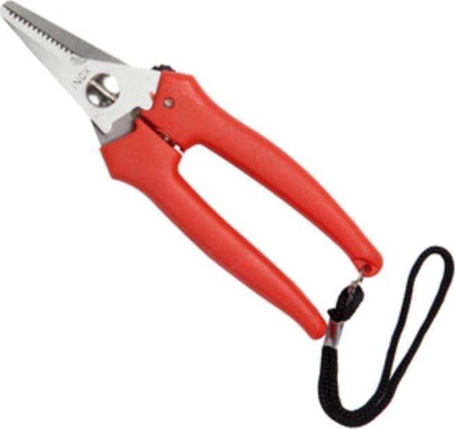 Forbici per Uva Falci INOX 16 cm - 2