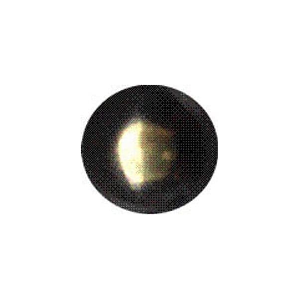 Bulletta Tappezziere Liscia Bron Sfum 9 mm * Gerhard Weiland Kg 1000 Pezzi