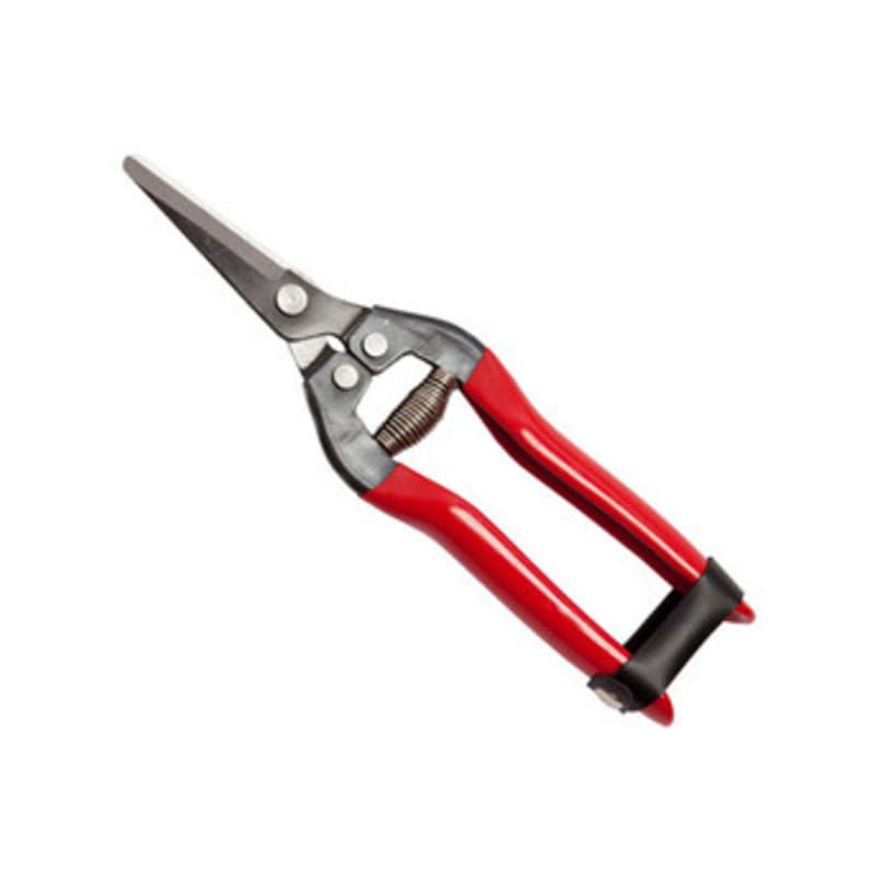 Forbici per Uva Falci Lame Dritte 19 cm - 2