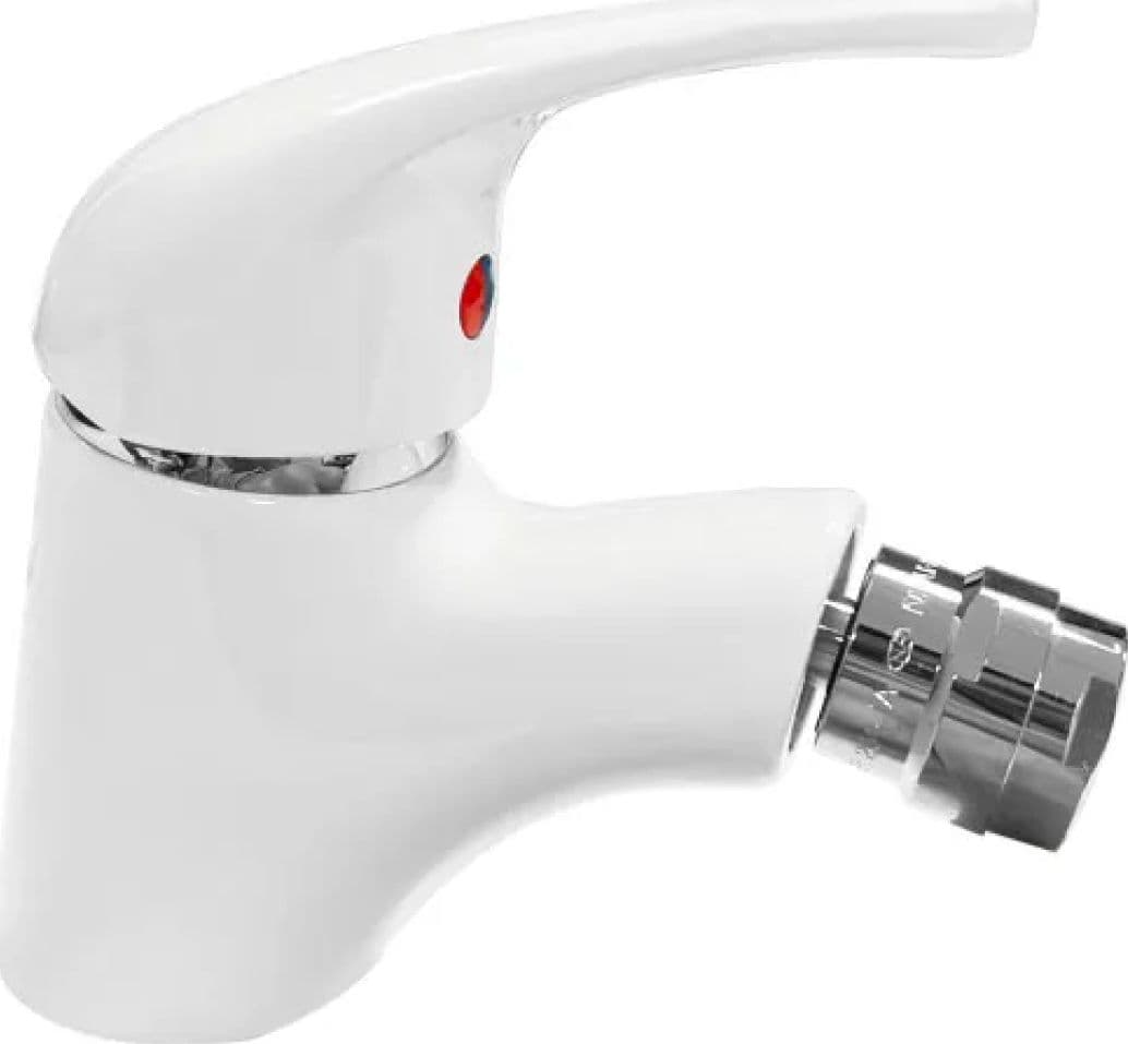 Rubinetto Miscelatore Monocomando per Bidet Nettuno Rubinetteria Paffoni - 2