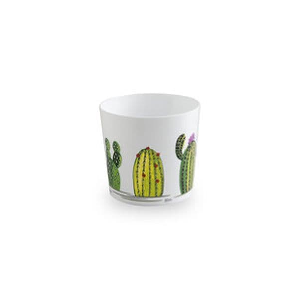 Cachepot Maya 11,5 cm Cactus 6 Pezzi – Idroweb