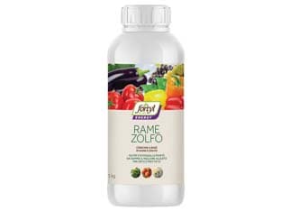 Liquido Rame e Zolfo Fortyl Energy per Piante Flacone Peso 1 kg 12 Pezzi - 2