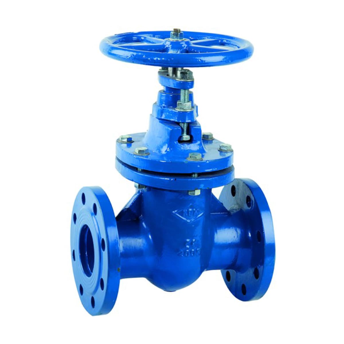 Valvola a Saracinesca in Ghisa a Corpo Ovale Serie Gvf 45 PN16 DN65 ZEL - 2
