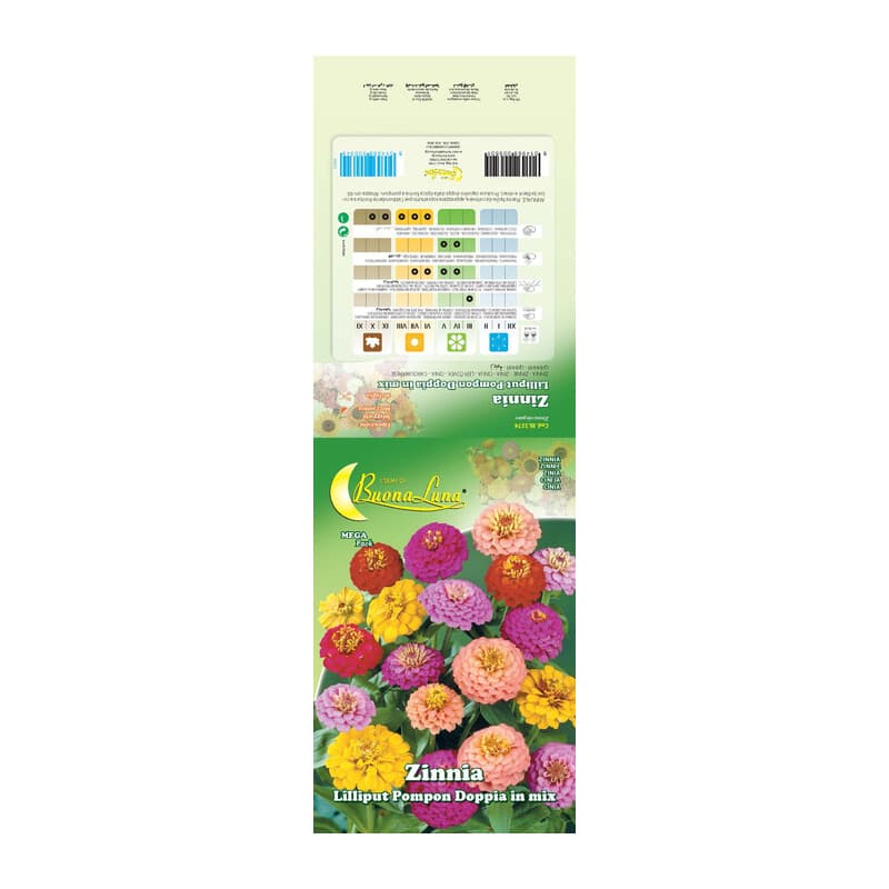 Semi Garden Zinnia Lilliput 10 Pezzi - 2