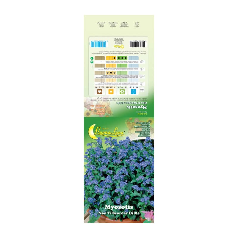 Semi Garden Myosotis 10 Pezzi - 2