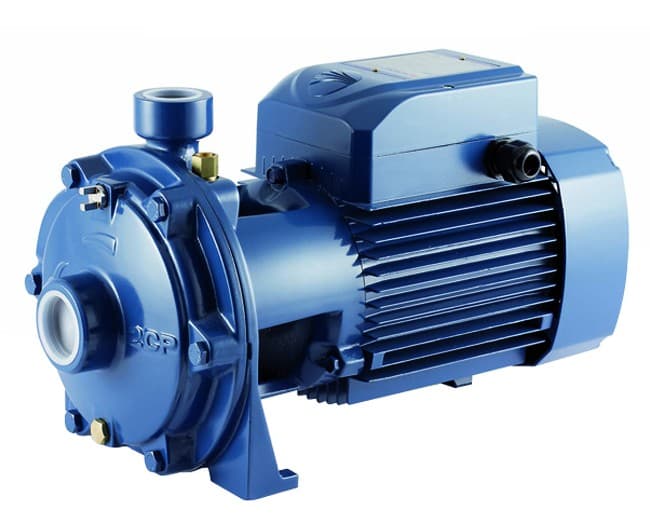 Pompa Elettrica Centrifuga Bigirante in Ghisa 1,1 kW 230 V Pedrollo - 2