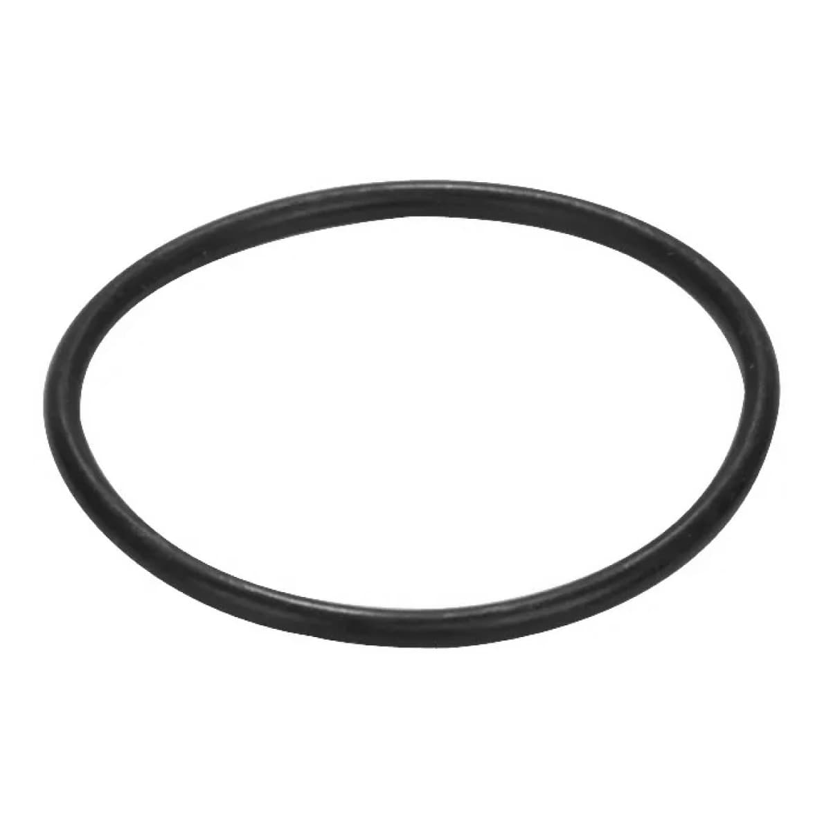 Guarnizione o Ring 161 per Sede Estraibile Pucciplast - 2