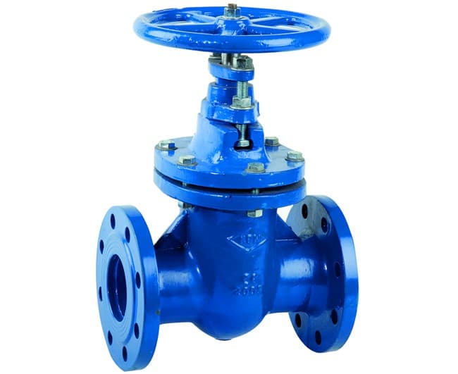 Saracinesca in Ghisa Corpo Ovale PN16 DN50 - 2