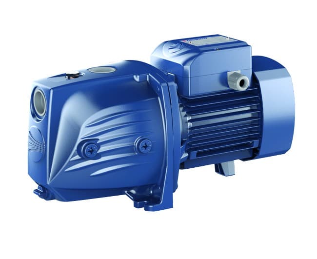 Elettropompa Autoadescante in Ghisa Monofase Jswm 0,55 kW 230 V Pedrollo - 2