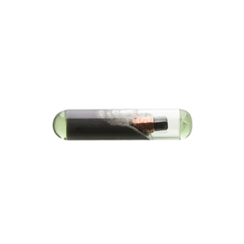 Chiavi Silca Transp.chip T48 GR.92 - 2