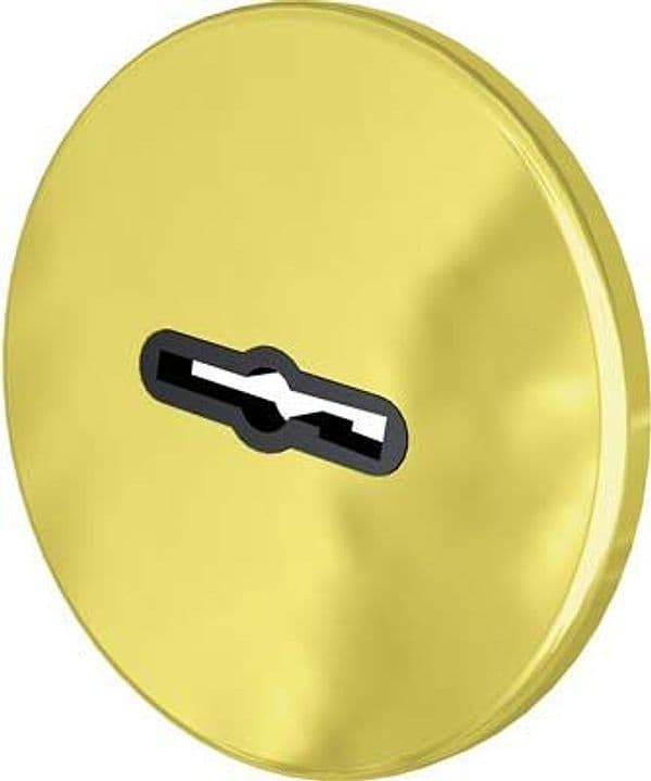 Mostrina Tonda Doppia Mappa 30 Cr Ottone Mm 60 - 2