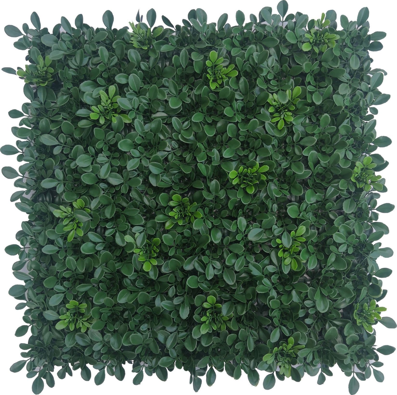 Siepe Artificiale Pannello 100 x 100CM Plant 2 Pezzi - 2