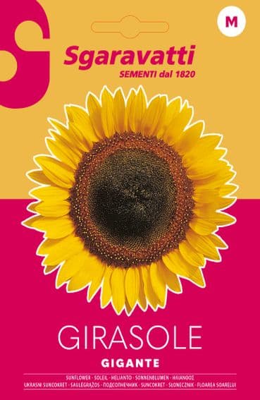 Semi per Prato Universale Girasole Gigante Sgaravatti 20 Pezzi - 2