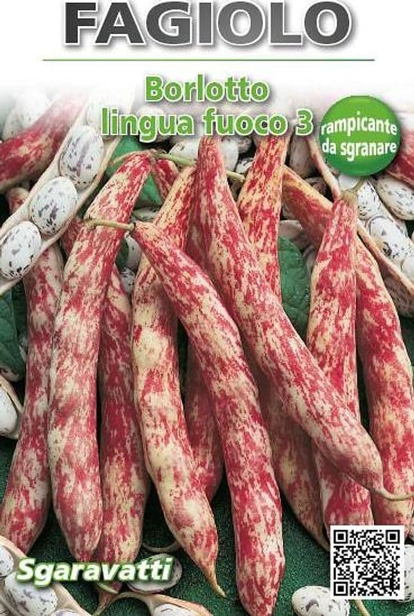 Semi per Fagioli Fagiolo Borlotto Rampicante Lingua di Fuoco 250 3 Gr - 2