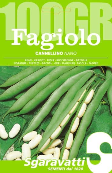 Semi per Fagioli Fagiolo Nano Cannellino Sgaravatti 5 Pezzi 100 gr - 2