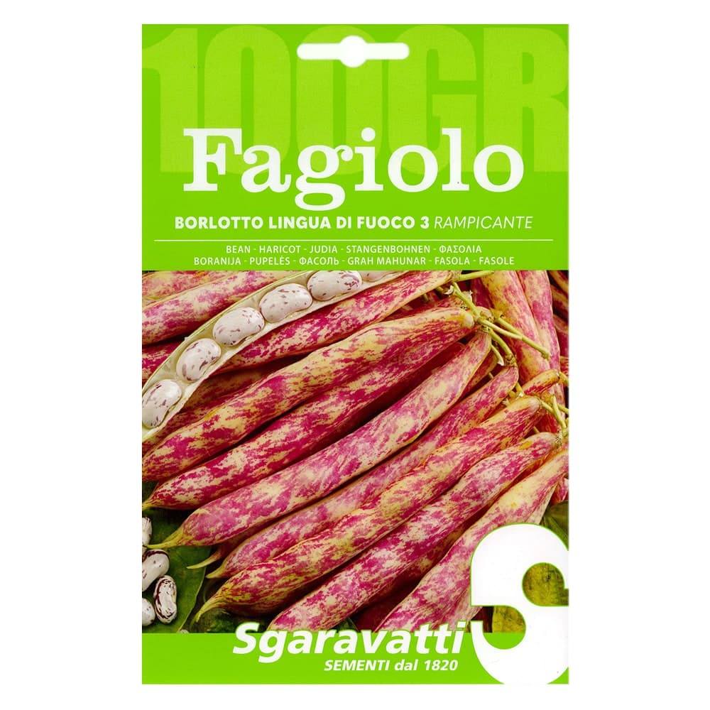 Semi per Fagioli Fagiolo Borlotto Rampicante Lingua di Fuoco 5 Pezzi 3 Gr – Sgaravatti