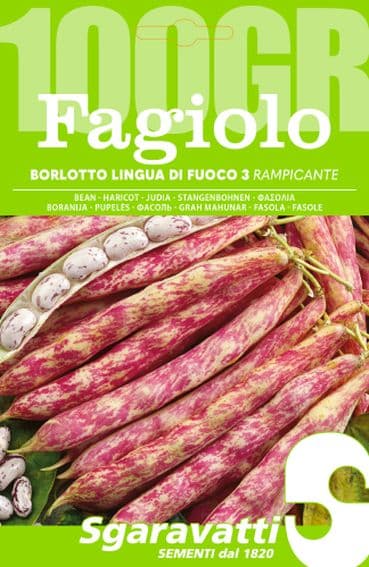 Semi per Fagioli Fagiolo Borlotto Rampicante Lingua di Fuoco 5 Pezzi 3 gr - 2