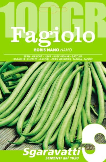 Semi per Fagioli Fagiolo Bobis Sgaravatti Bianco 5 Pezzi 100 gr - 2