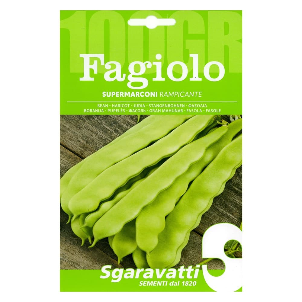 Semi per Fagioli Fagiolo Rampicante Supermarconi Sgaravatti 5 Pezzi 100 Gr