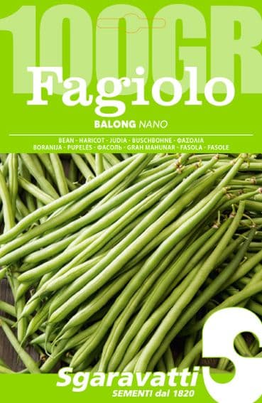 Semi per Fagioli Fagiolo Nano Balong Sgaravatti 5 Pezzi 100 gr - 2