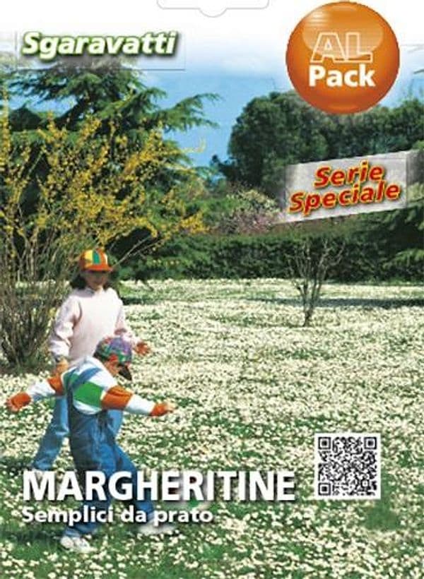 Semi per Prato Universale Margheritine Semplici da 20 Pezzi - 2
