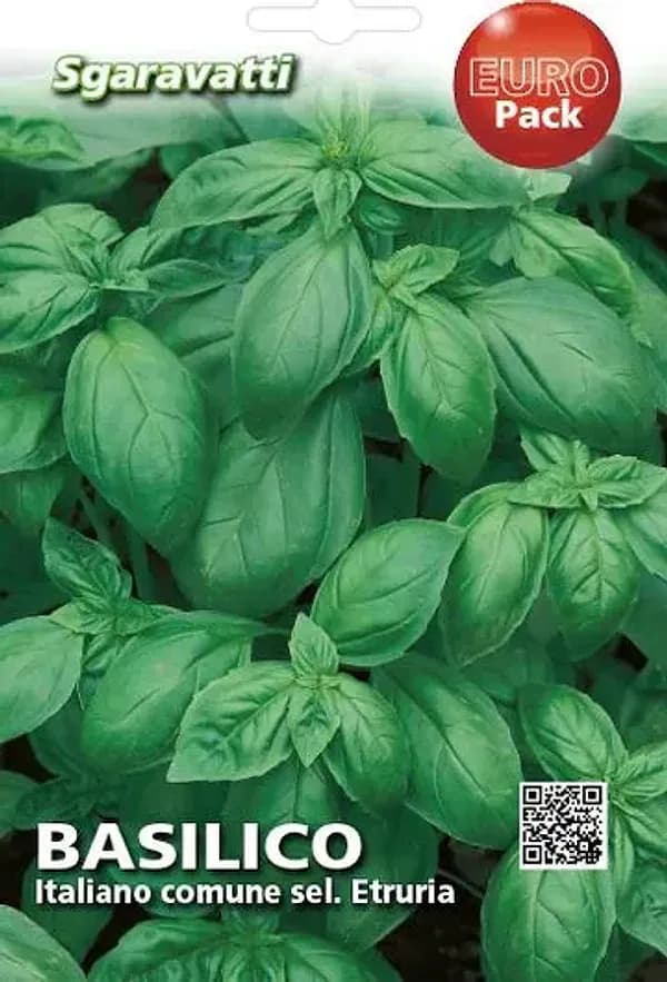 Semi per Ortaggi e Vegetali Basilico Italiano Comune Sel. Etruria 10 Pezzi - 2