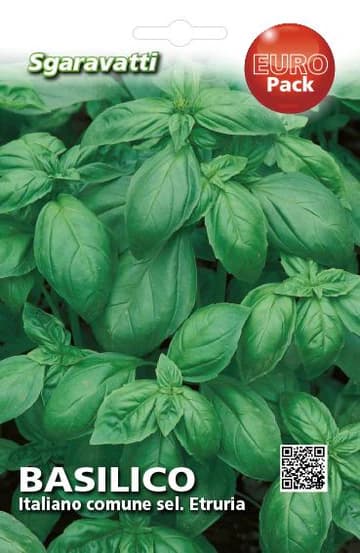 Semi per Ortaggi e Vegetali Basilico Italiano Comune Sel. Etruria 10 Pezzi - 2