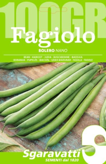 Semi per Fagioli Fagiolo Nano Bolero Sgaravatti 5 Pezzi 100 gr - 2