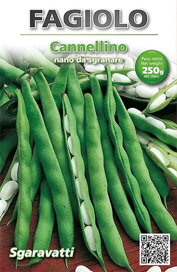 Semi per Fagioli Fagiolo Nano Cannellino Sgaravatti 250 Gr - 2