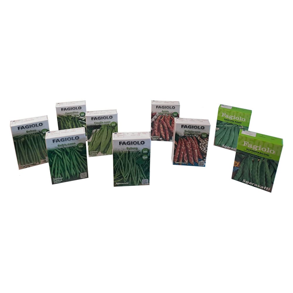 Semi per Fagioli Fagiolo Coco Noir Sgaravatti 5 Pezzi 100 gr - 2
