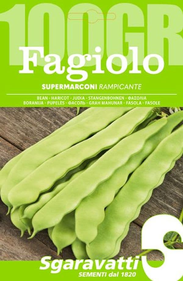 Semi per Fagioli Fagiolo Rampicante Supermarconi Sgaravatti 250 Gr - 2