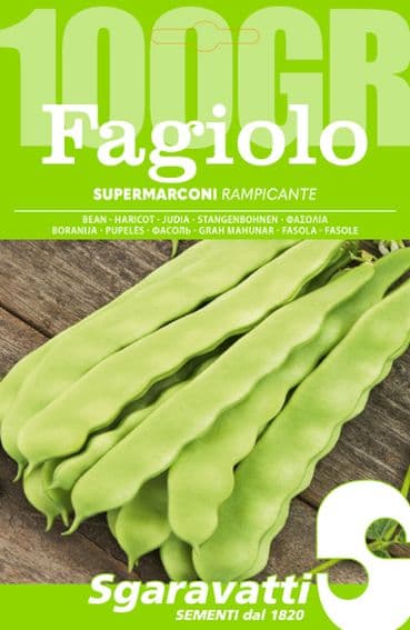 Semi per Fagioli Fagiolo Rampicante Supermarconi Sgaravatti 250 gr - 2