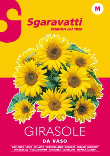 Semi per Prato Universale Girasole Ornamentale Sgaravatti 20 Pezzi - 2