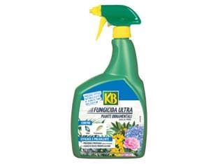Fungicida Ultra Liquido Pronto All'Uso 800 ml Kb - 2
