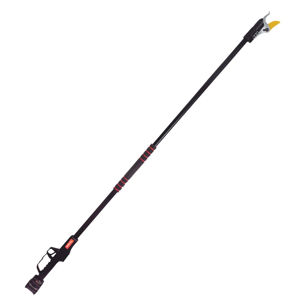 Potatore a Batteria Altuna AB2000 Titanio 25,2V 4 ah Litio - 2