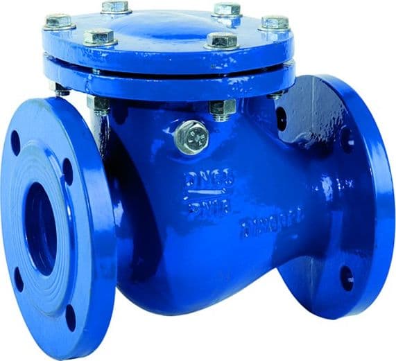 Valvola Ritegno Non Ritorno Orizzontale in Ghisa PN16 DN50 - 2