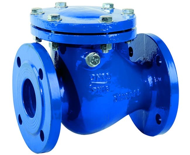 Valvola Ritegno Non Ritorno Orizzontale in Ghisa PN16 DN50 - 2